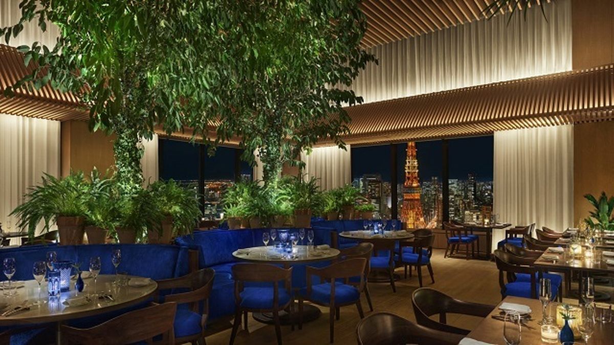 ♦️♦️♦️♦️夢のレストラン / Dreaming of Restaurants The Dresden Room | A restaurant & lounge offering delicious