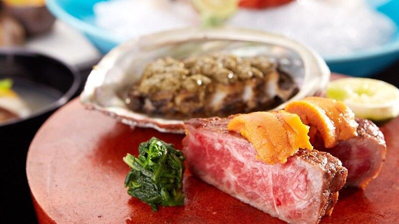 Tsutsuji no Chaya / Hotel de Yama