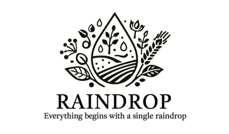 RAINDROP