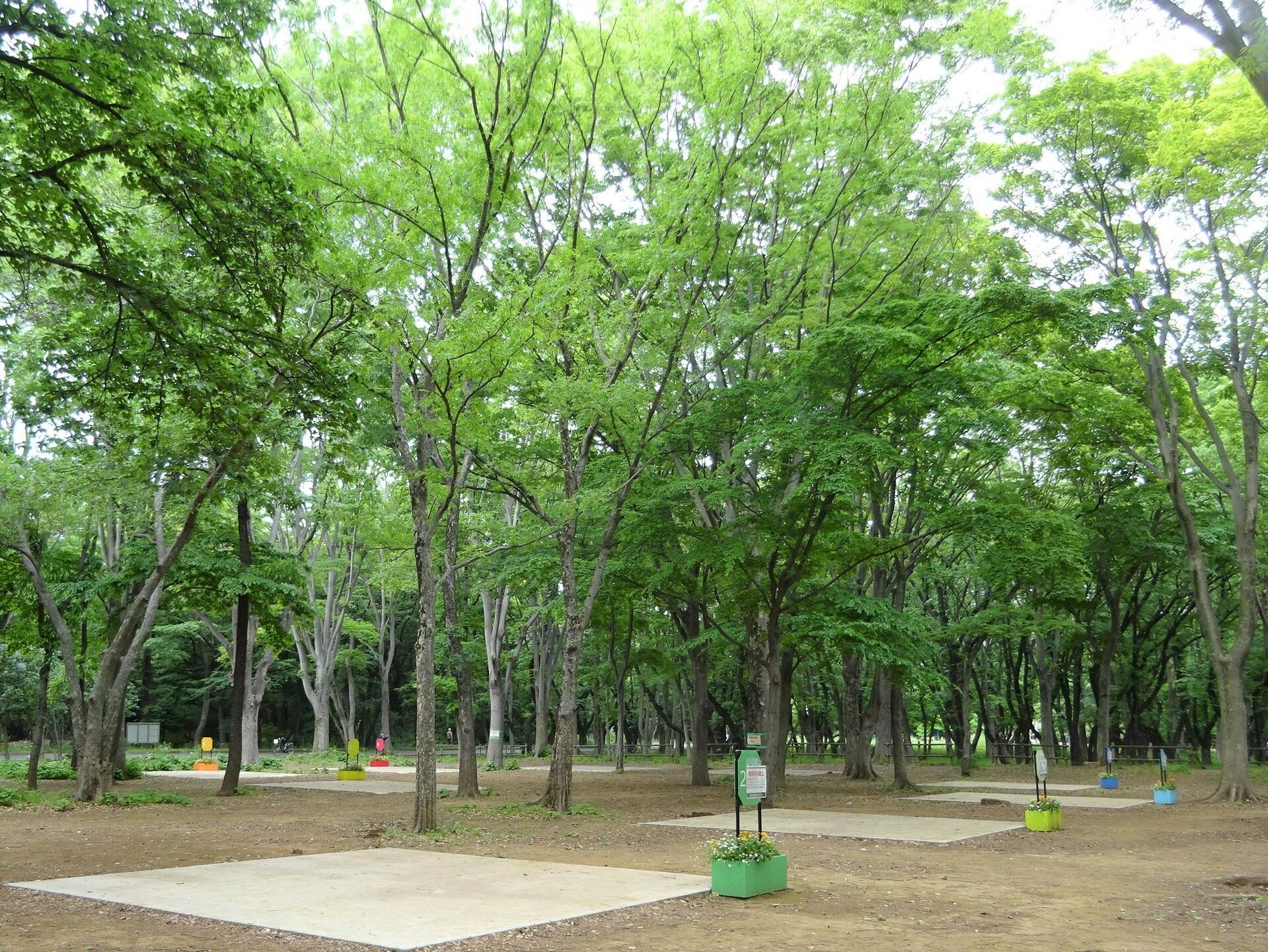 Hikarigaoka Park