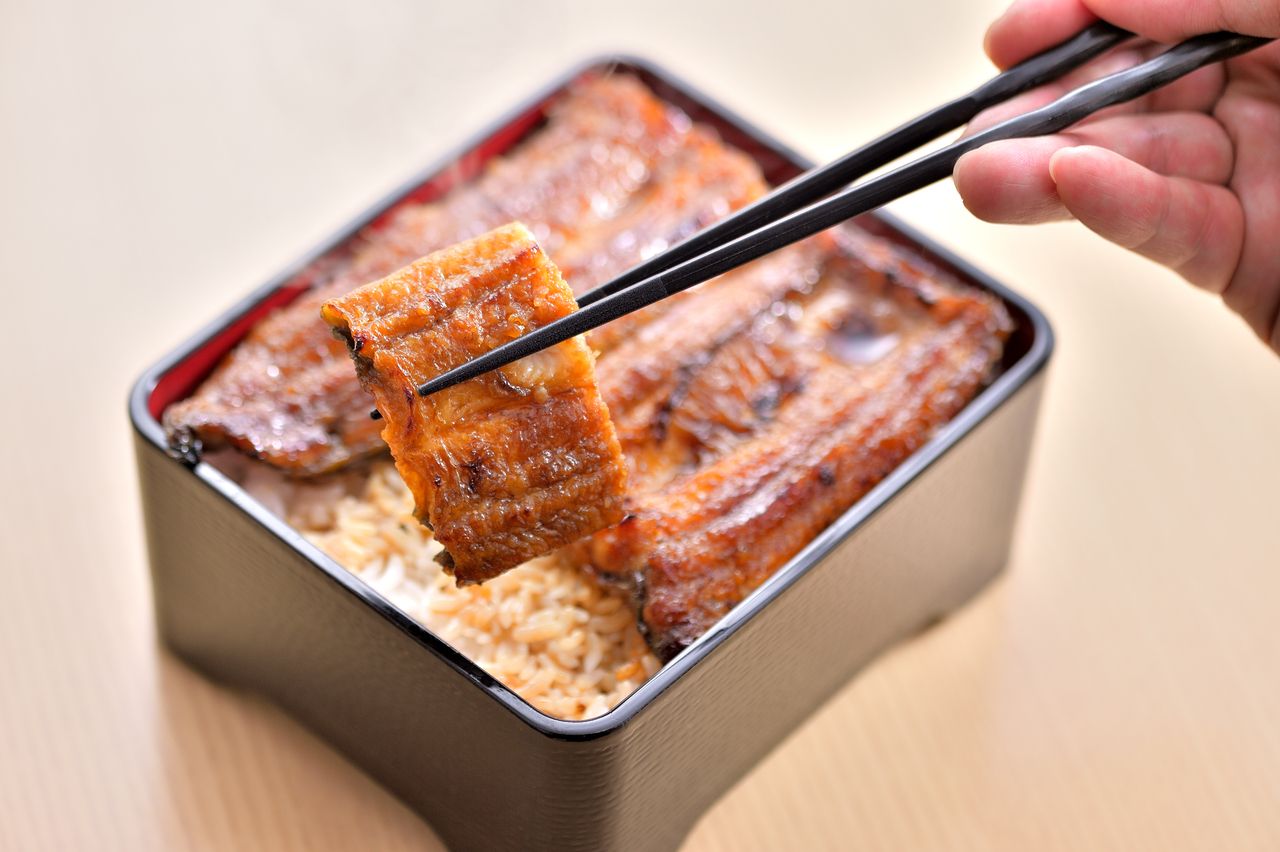 Unagi-ju set (special)