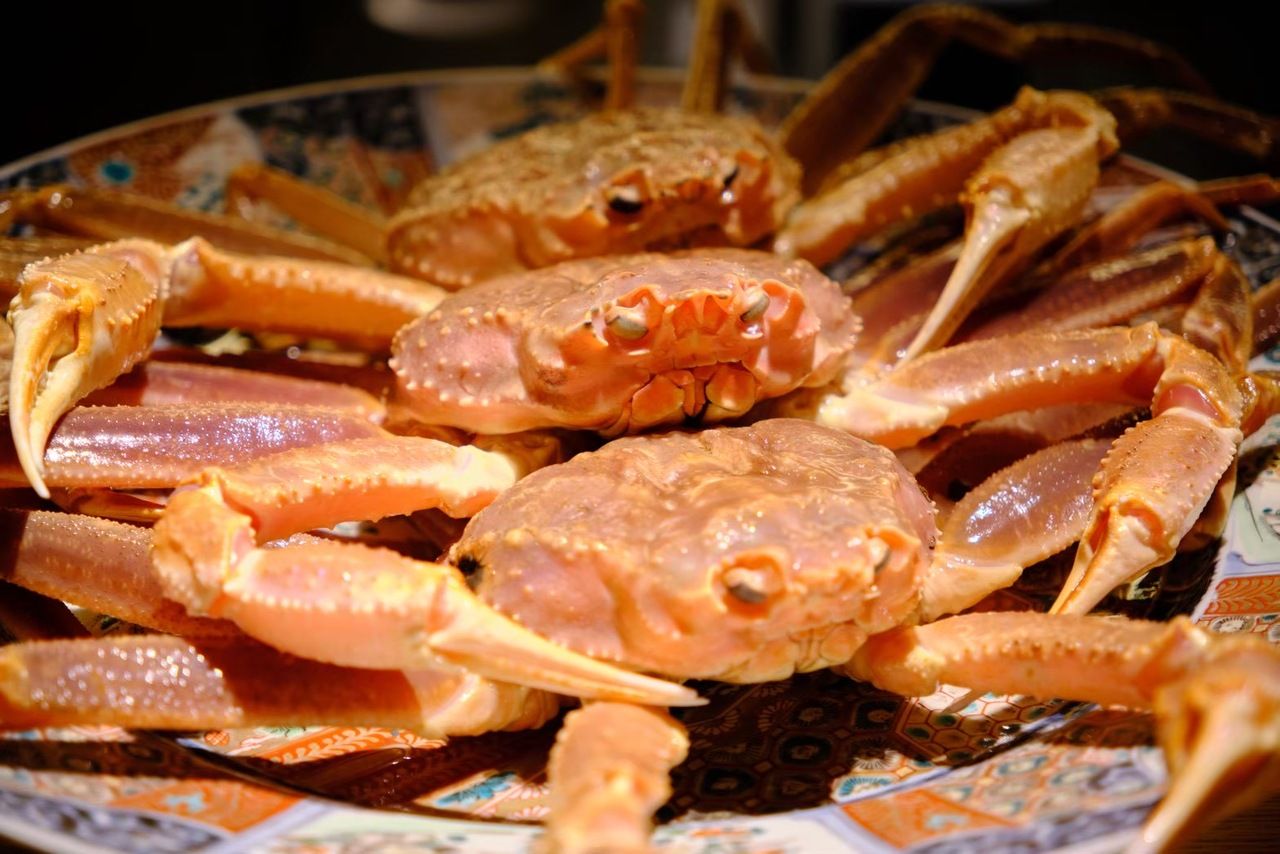[Recommended Crab] Full Course - Spring 2026