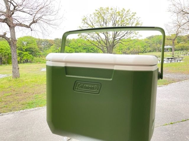Cooler box 15L