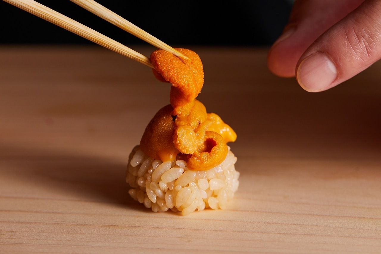 店主おまかせ 極みコース