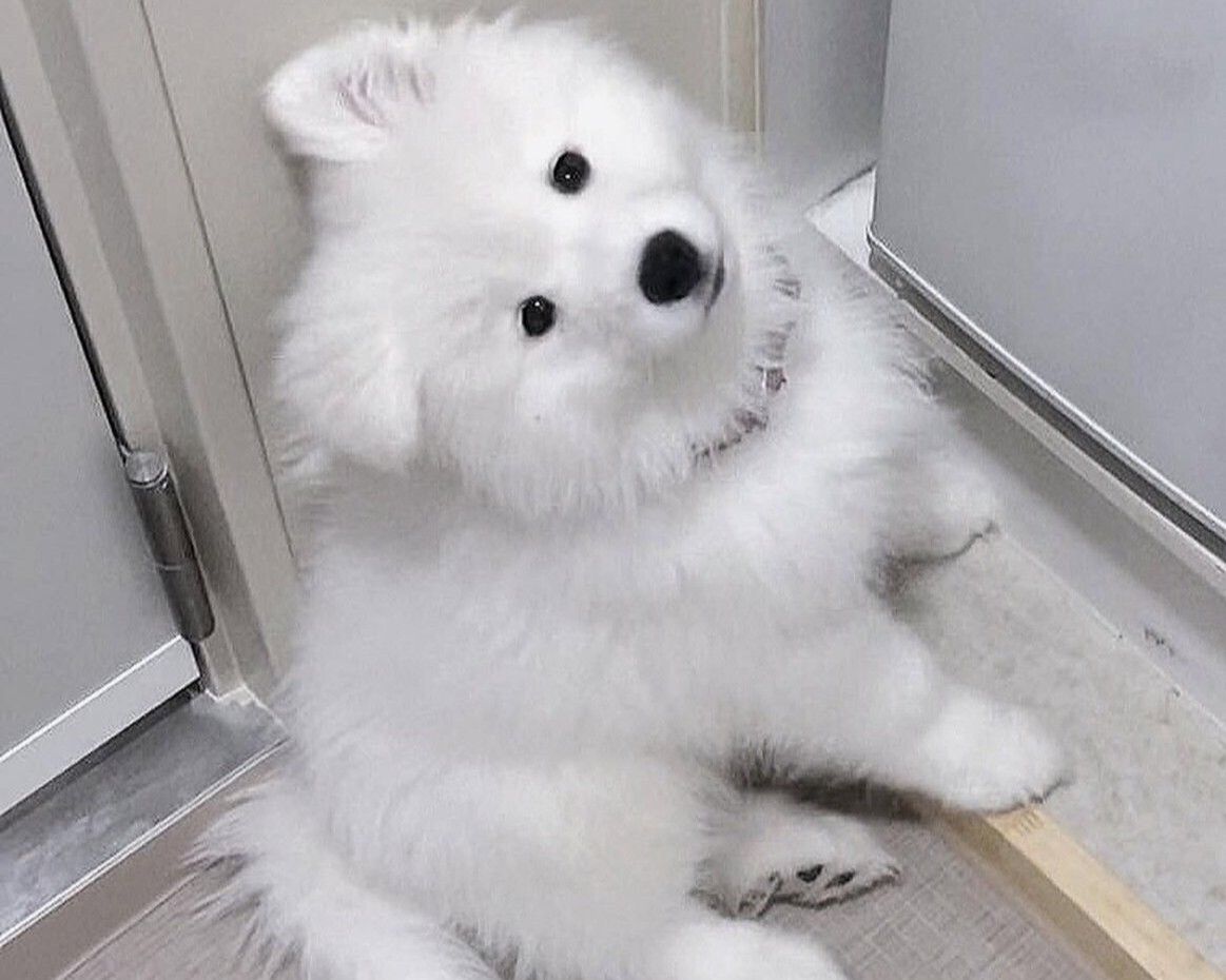 Weekends and Holidays: Regular ticket (50 minutes)