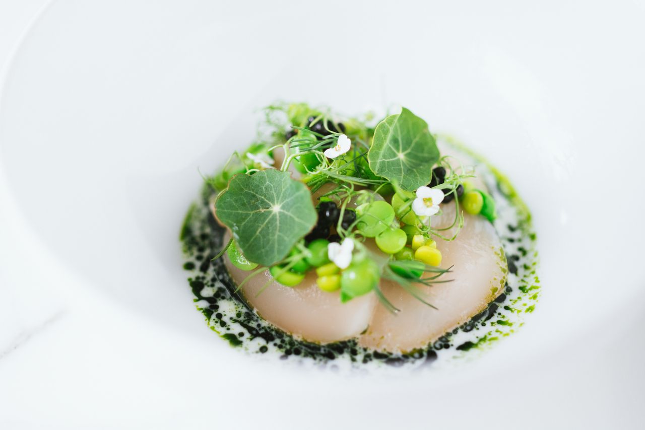 【Online Limited】  Weekday 4 course Lunch