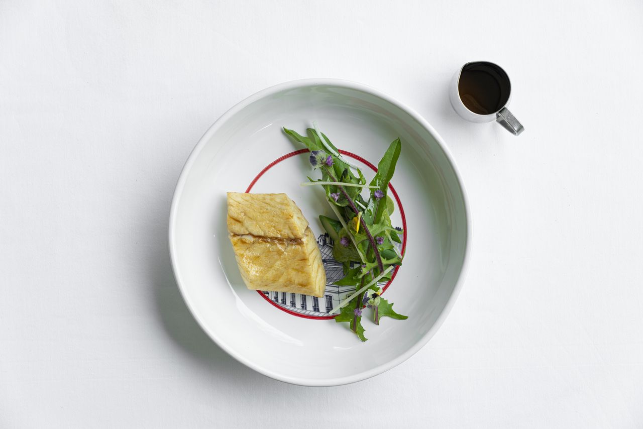 [Lunch] appetizer 2+ main + dessert + after-meal drink