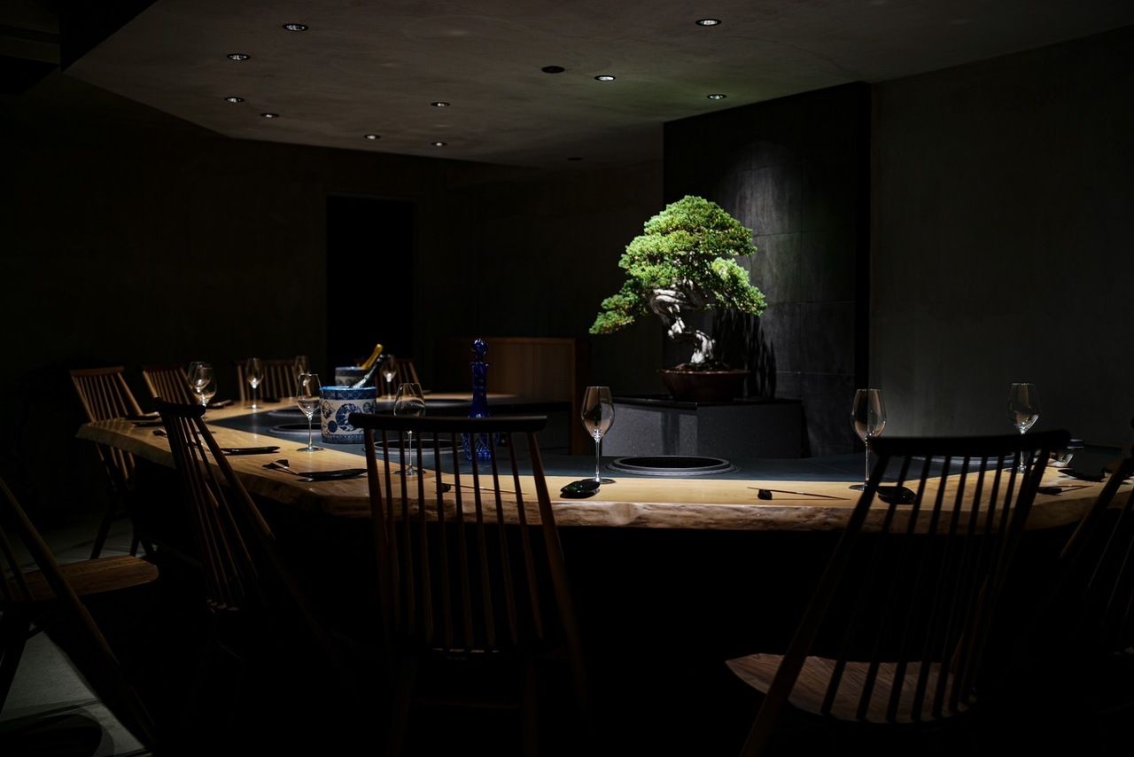 Domestic sheep and overseas sheep - Comparison full course