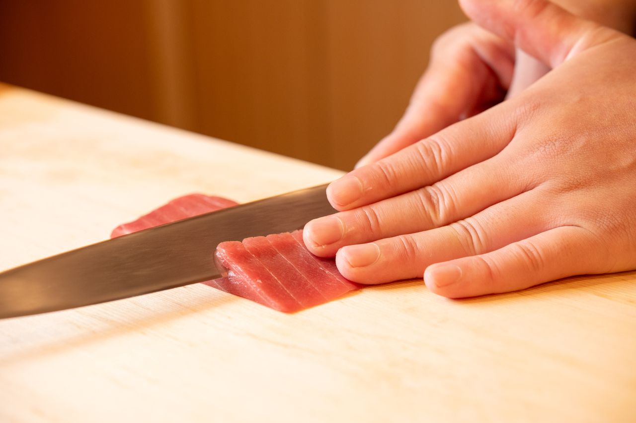 Sazanami Omakase Nigiri