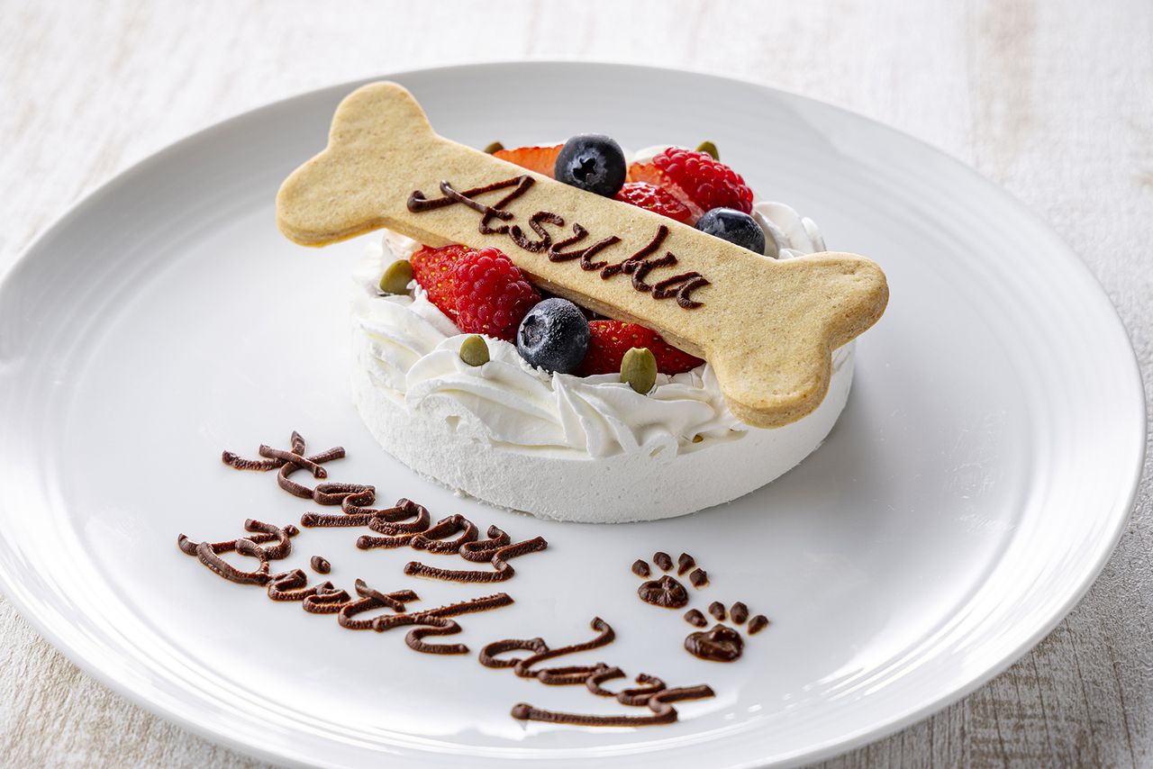 ドッグケーキ