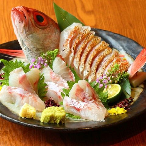 Red-eyed Blackthroat Seaperch - Hiiragi Course