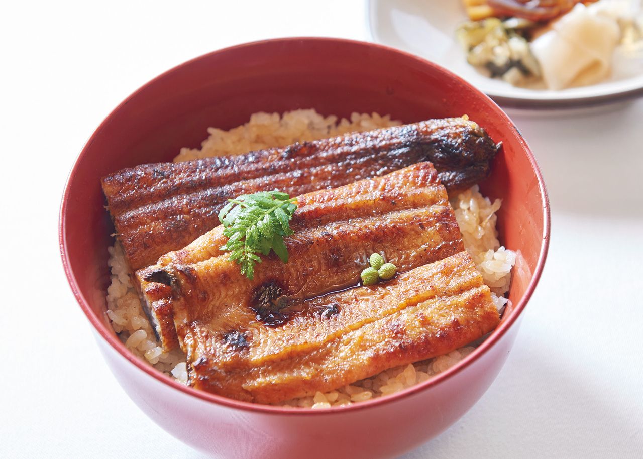 Shizuoka eel meal