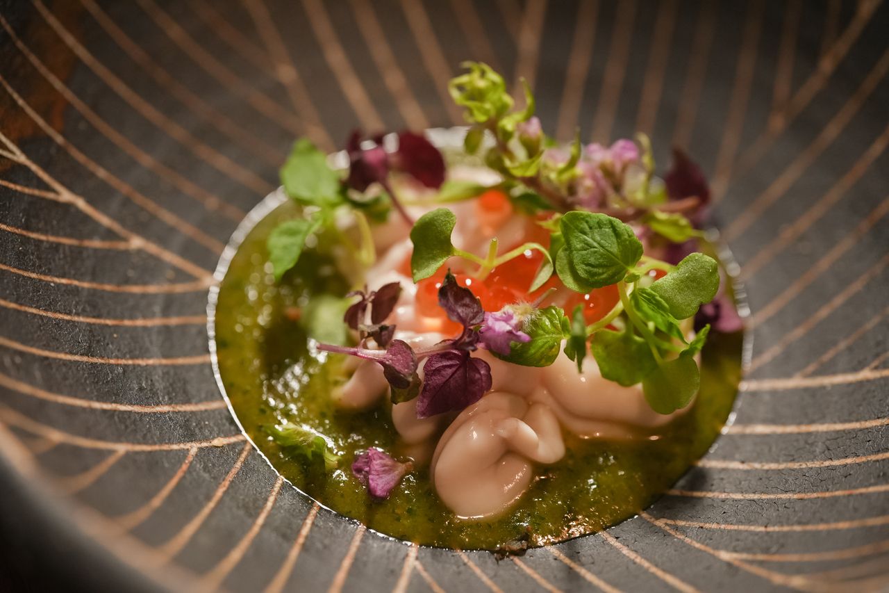 【季節のおまかせ】 旬の味覚とシェフの感性を堪能するおまかせコース 8,500円