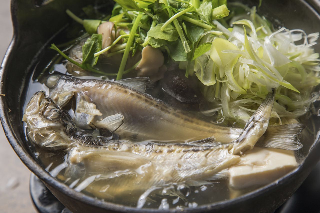 【11月〜】秋田ふるさとの味　名物きりたんぽ鍋コース【2時間飲み放題付き】　10品6500(税込)