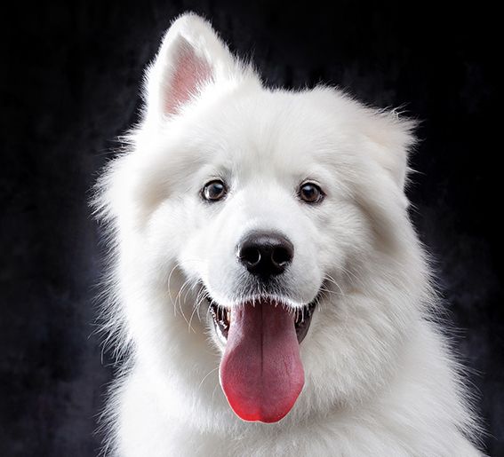 Reservations (weekdays)