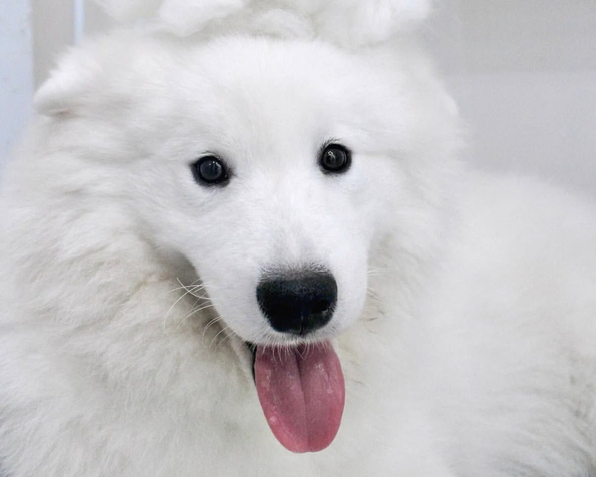  Regular ticket (50 minutes)