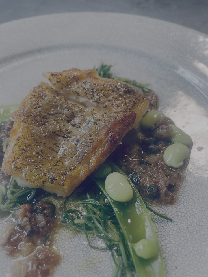 旬の食材コース（焼き立てフォカッチャ付き）※１部シェア