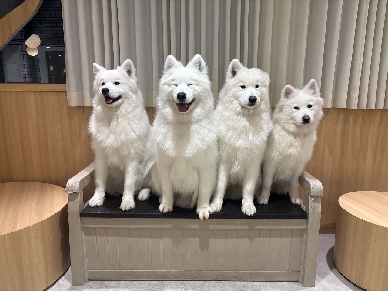 【仅限下午6点场次】四兄弟生日活动