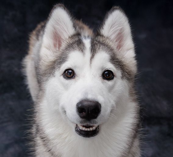 Make a reservation (Saturdays, Sundays, and holidays)