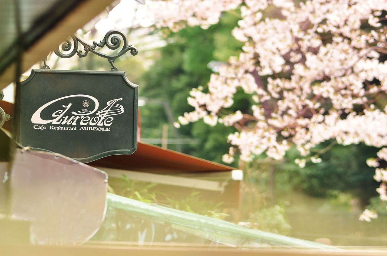 Lunch course with sparkling wine! 4980 yen