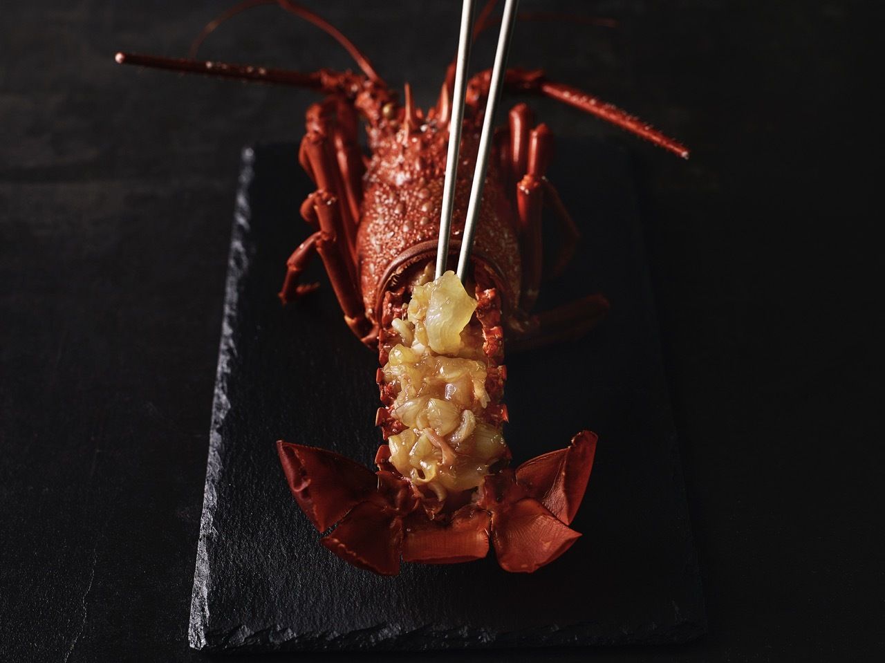 [Zen] Seasonal Chef's Choice Lunch Course (14 dishes)