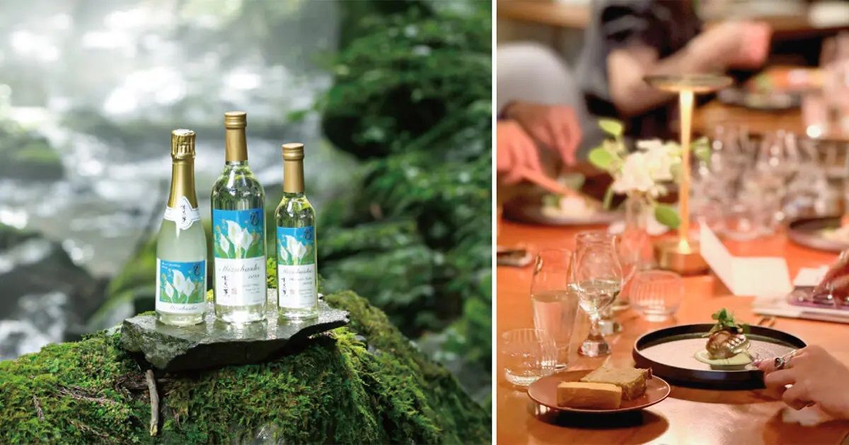 [Nagai Sake Brewery × Kimoto Glass × Bistro Noga] Japanese Sake Triple Dinner