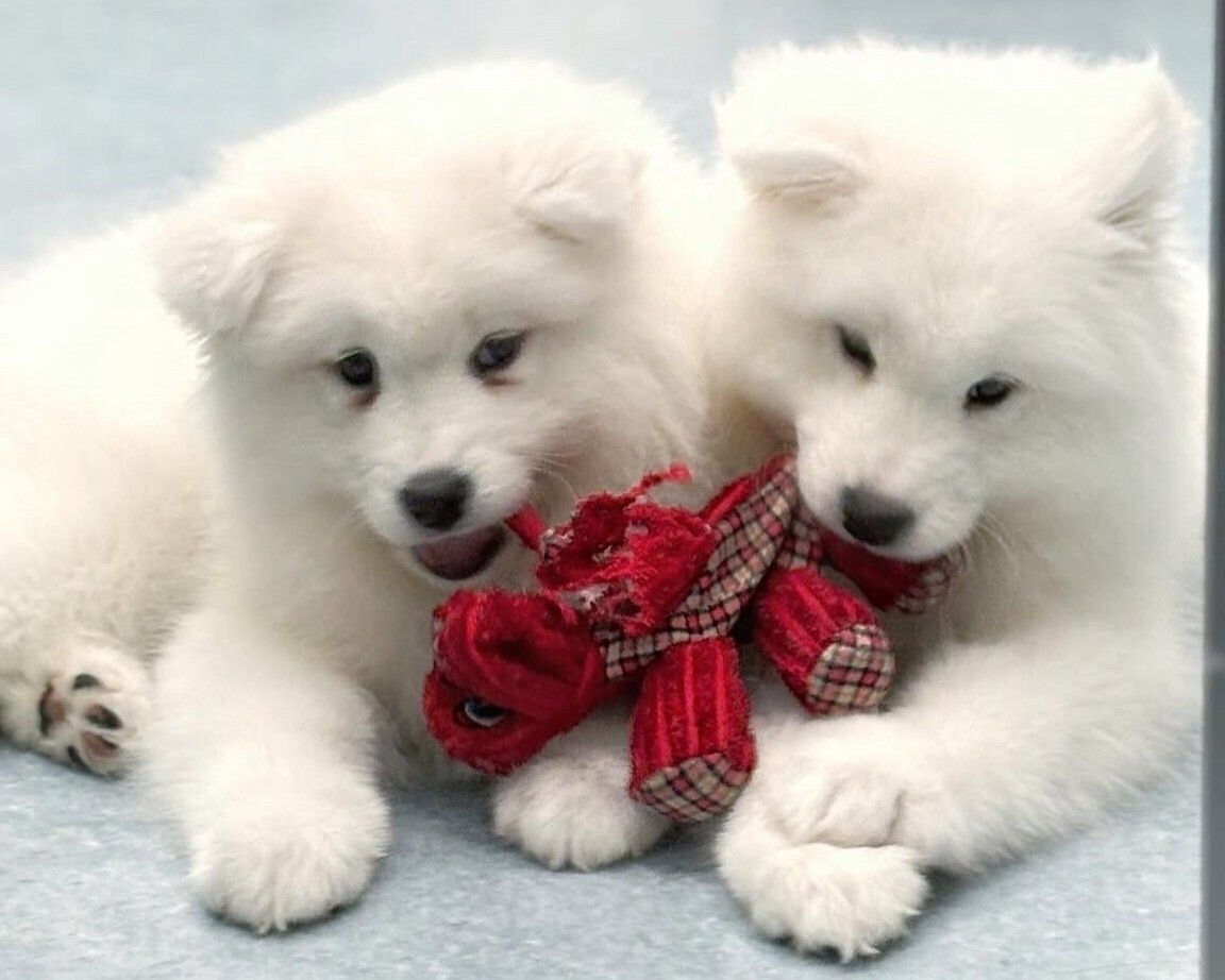 ≪Golden Week Period≫ Regular Ticket (50 minutes)