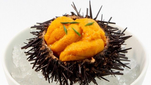 arancino KYOTO