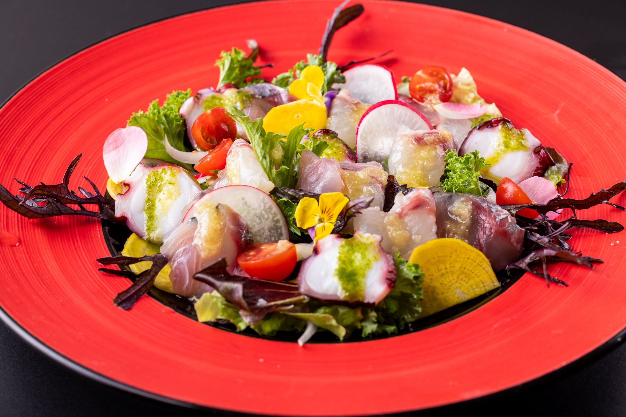 Lizarran GREENSPRINGS Tachikawa