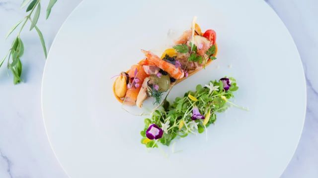 Rikka / GREENITY IWATA