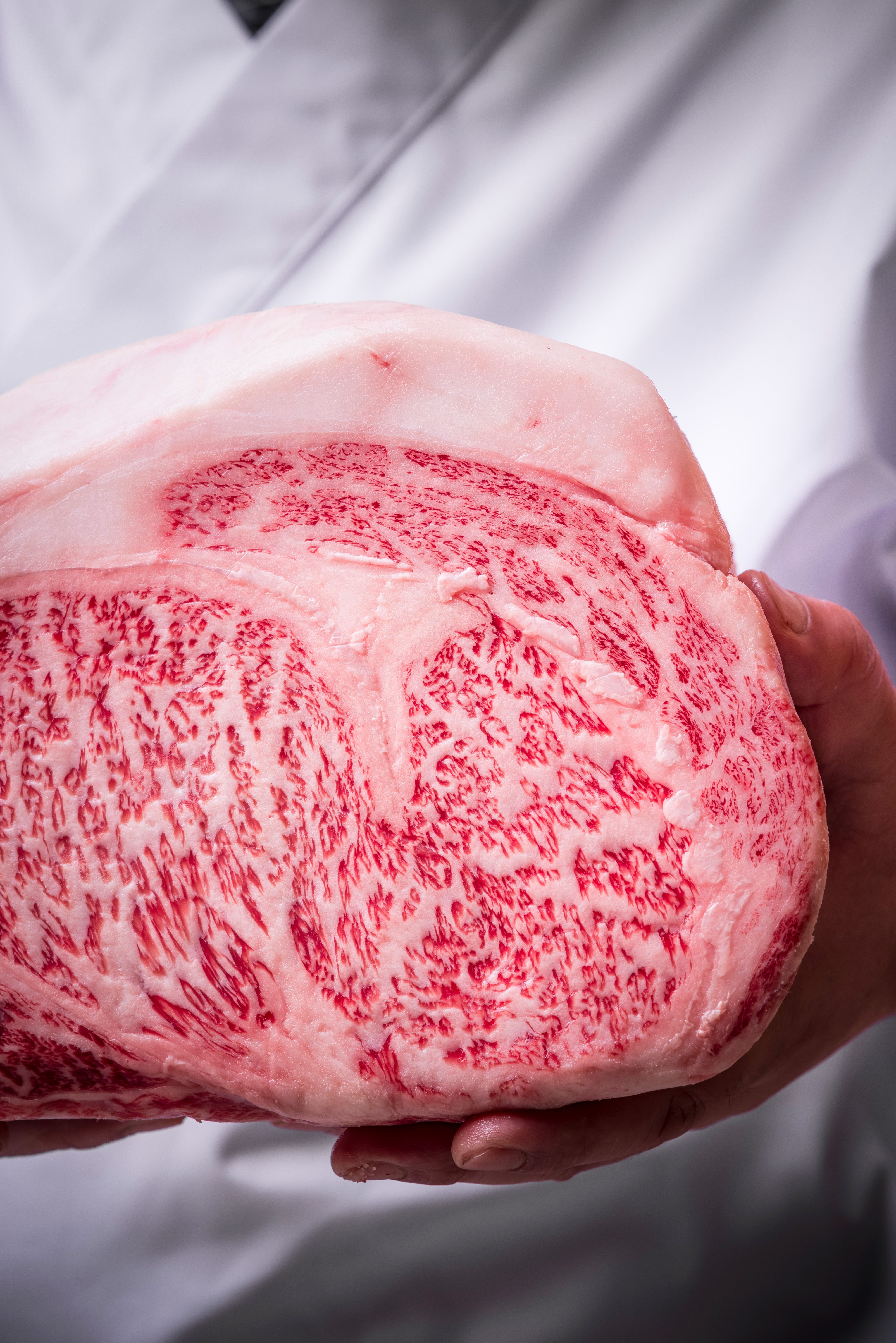 HAKU Kanazawa Cuisine｜Kanazawajimono