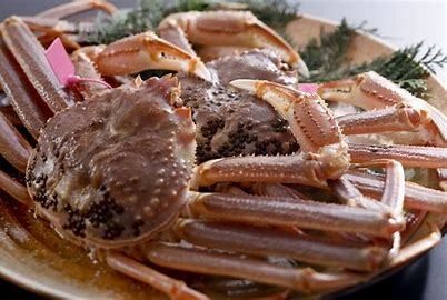 Live Matsuba Crab Course [Available from November to early April *Limited quantity in April] 55000 yen and up (market price) *Prices are approximate as the market price for this season has not been decided yet.