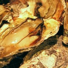 【毎日】焼き牡蠣・蒸し牡蠣100分食べ放題