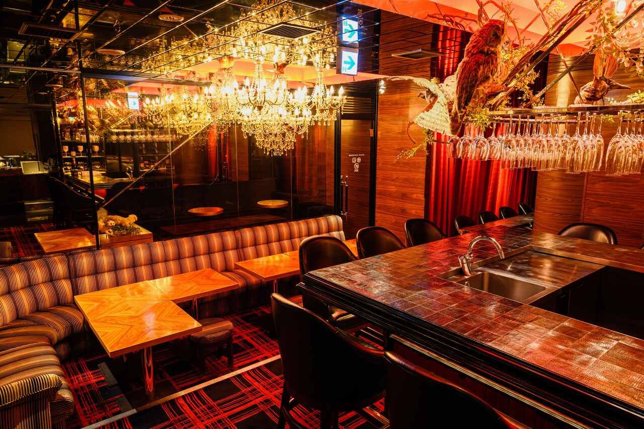 EIGHT [Premium Plan] A special day such as an anniversary. Enjoy Japanese black beef, this is a special plan.