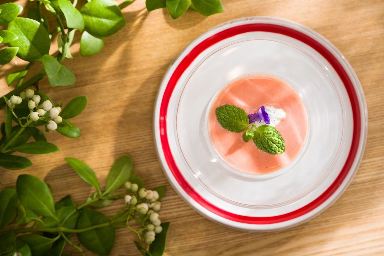 [Luxurious lunch with a choice of main dishes] Stageone (5 plates)