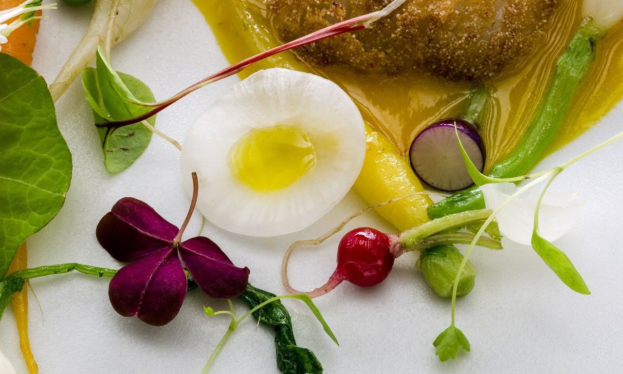 Dinner Course