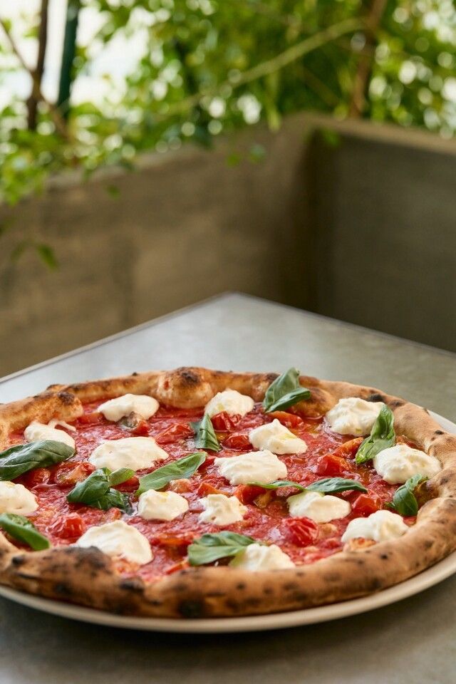 [1.5-Hour All-You-Can-Drink Package with 8 Shared Plates] CHICAMA PARTY PLAN *Available for groups of 4 or more*