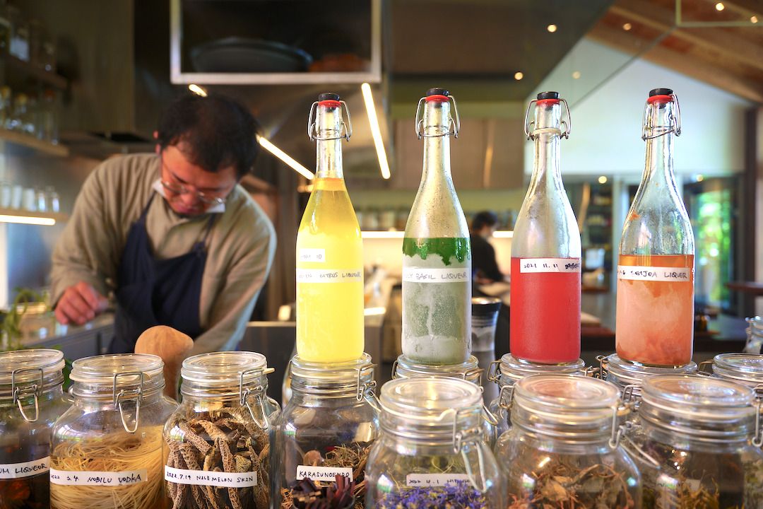 Lunch Course + Drink Free Flow