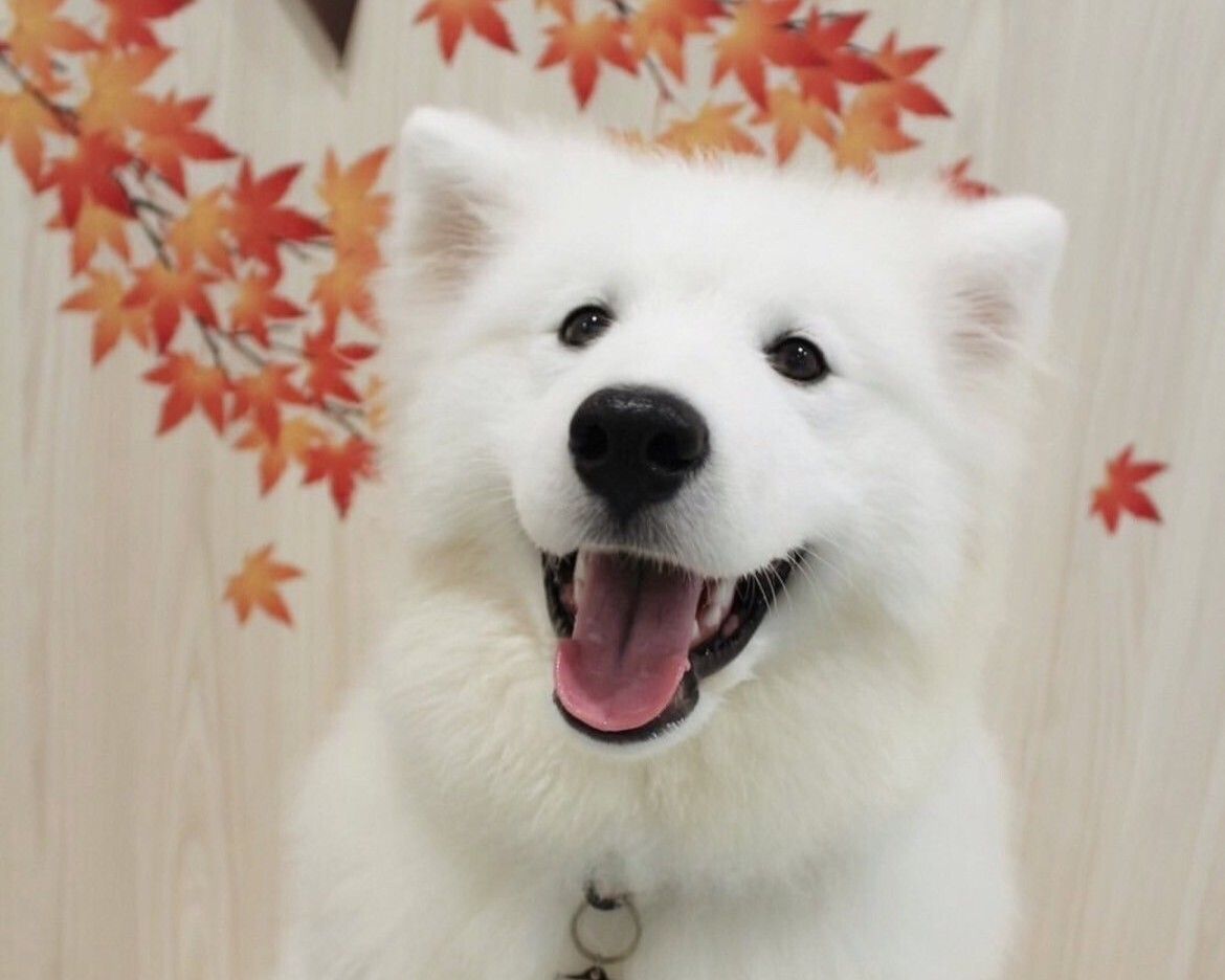 ≪土日祝≫通常チケット (50分)