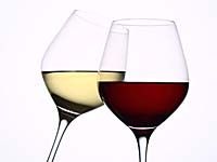 【追加オプション】ランチ限定  ワイン飲み放題パック