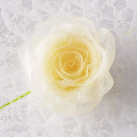 Squid and turnip rose arrangement