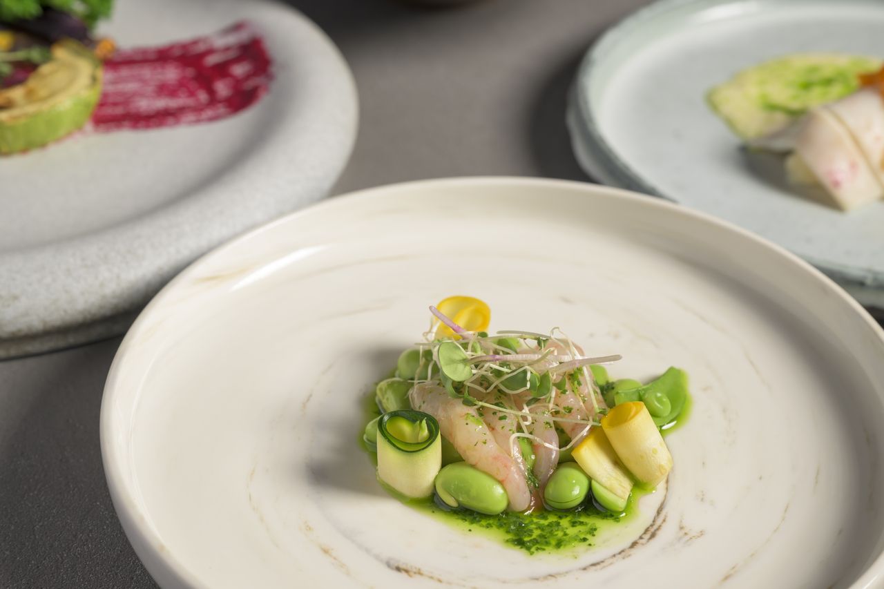 Sanu signature course