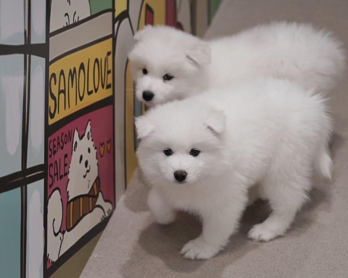  Regular ticket (50 minutes)