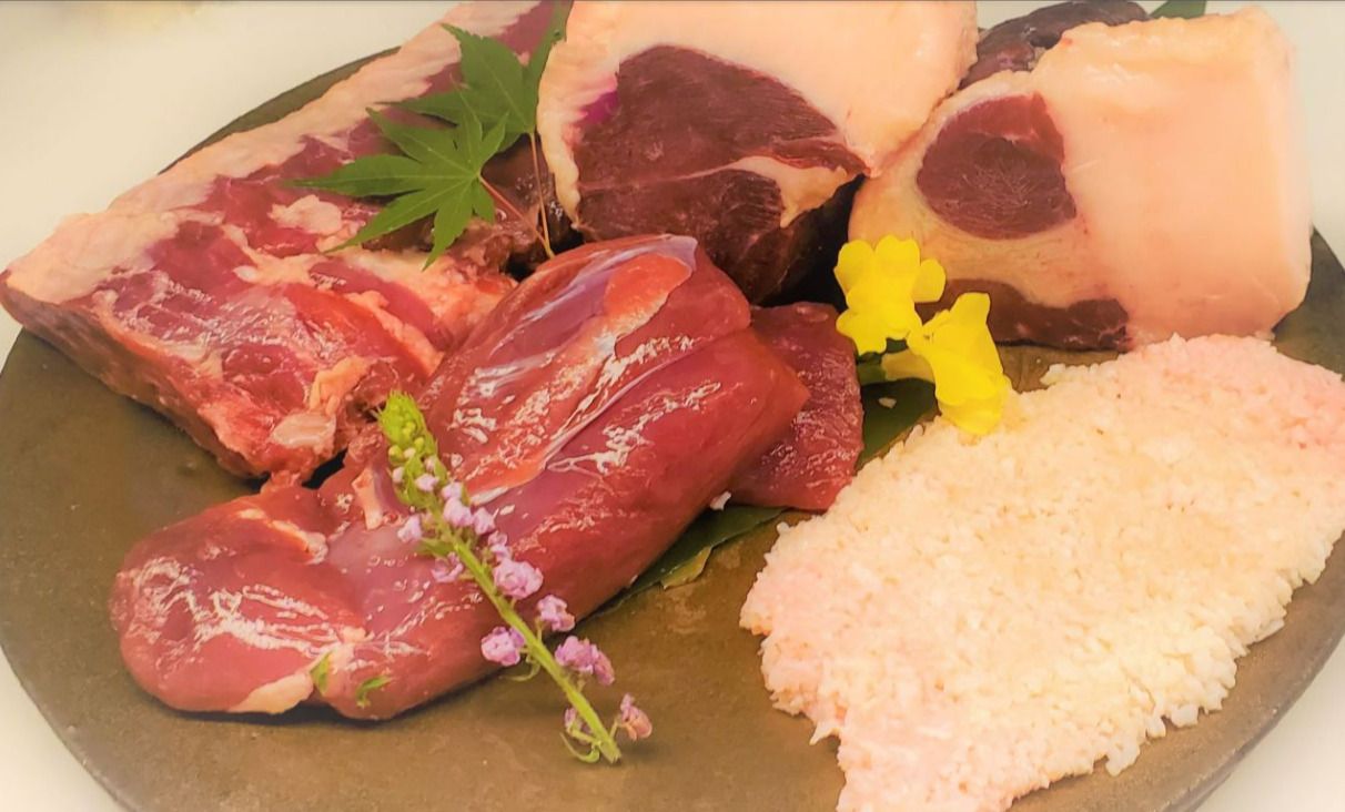 【おまかせ】山肉コース