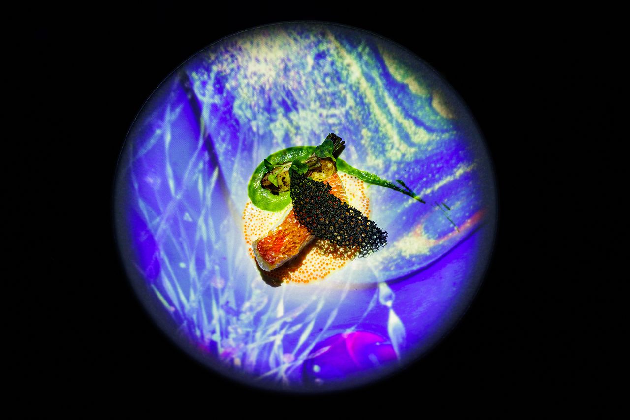 イマーシブディナーコース