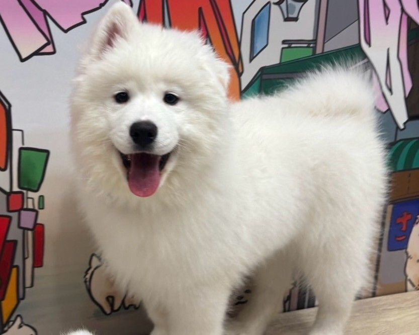 ≪土日祝≫通常チケット（50分）