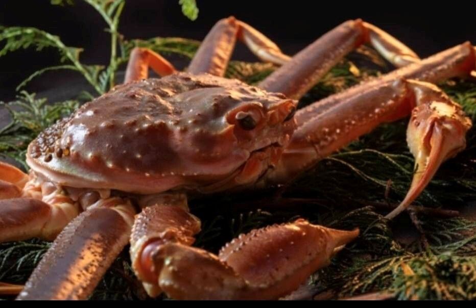 スペシャル活松葉蟹コース(冬)(表示価格は1名様分です)