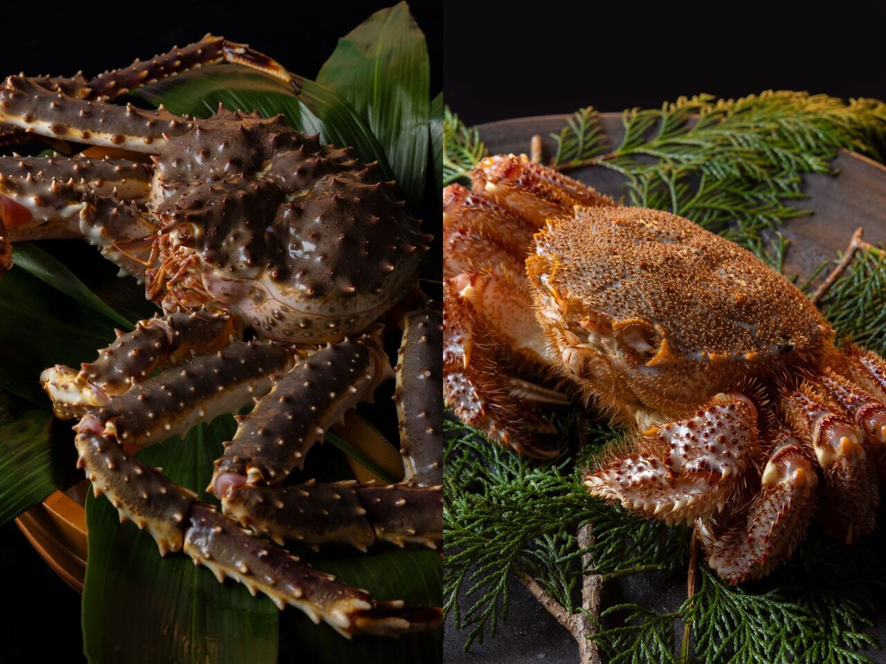 Live hairy crab and live king crab course (price shown is for one person)