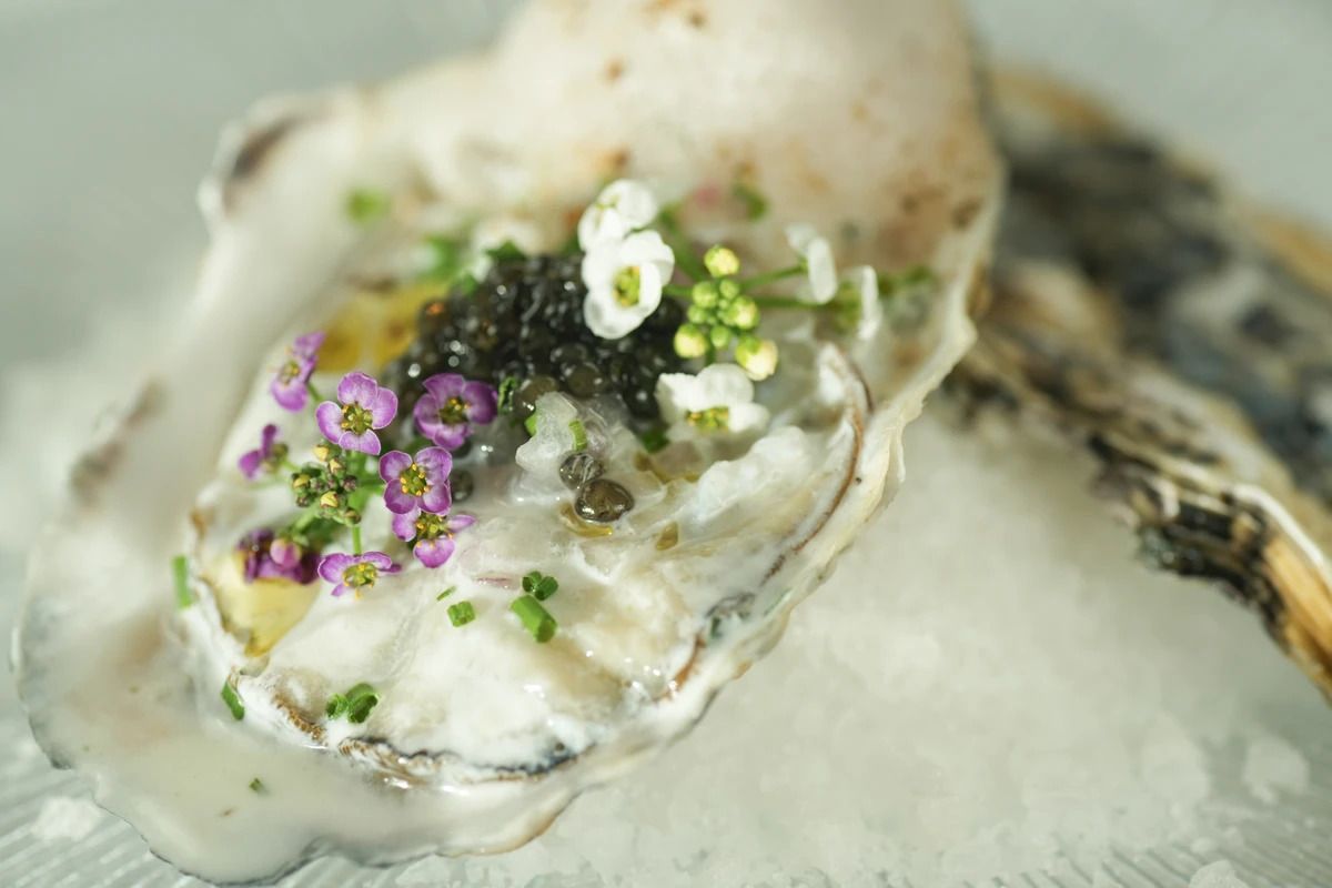 主厨铃木真吾的品尝套餐