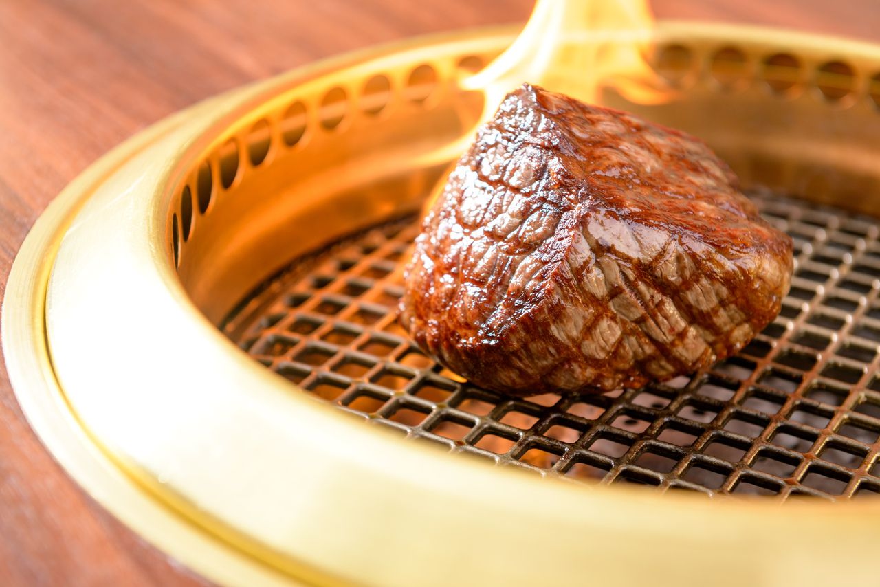 昏厥肉课程终极